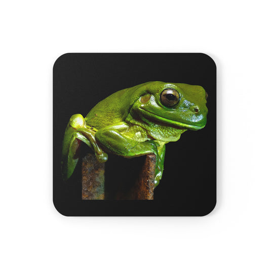 Green tree frog Corkwood Coaster Set