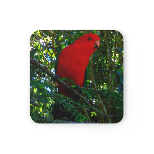 King parrot Corkwood Coaster Set